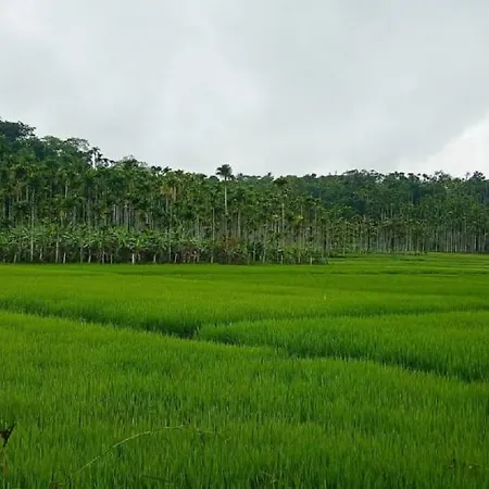 Kuruva Shoreline Wayanad Chegat Exterior photo