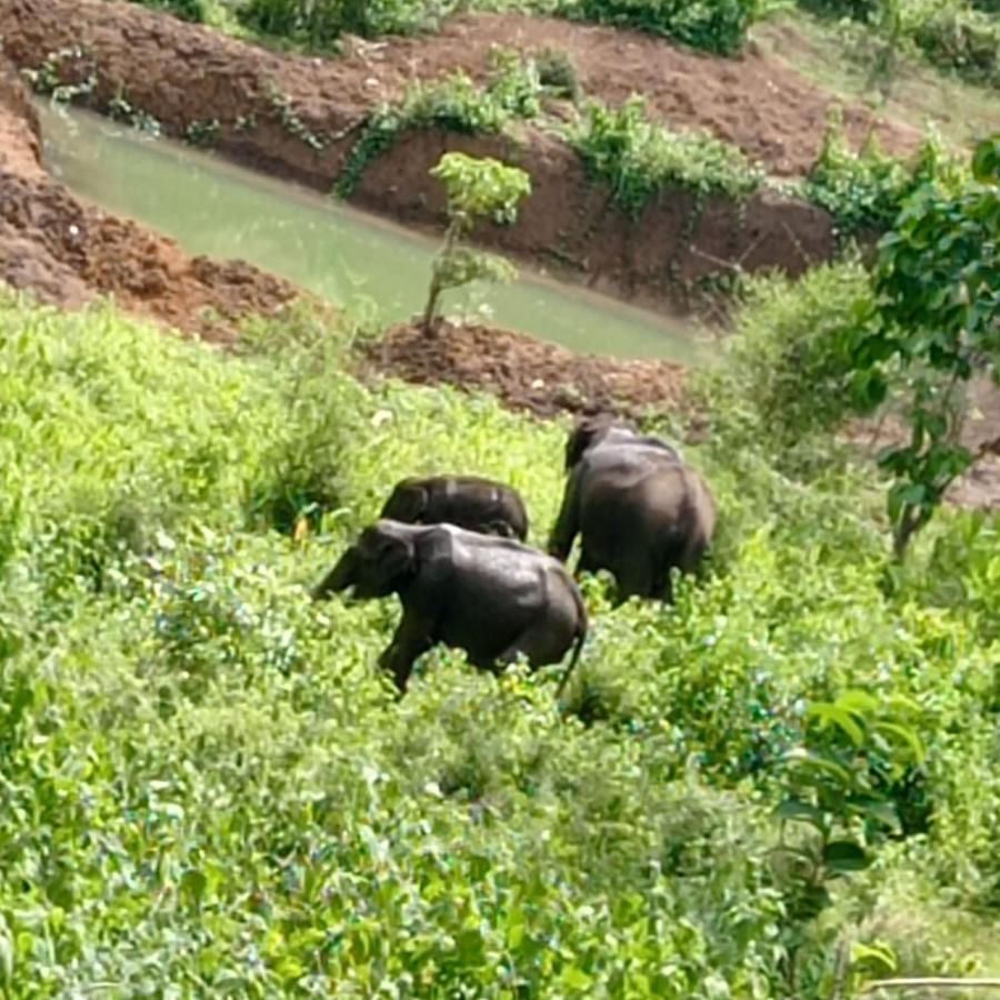Kuruva Shoreline Wayanad