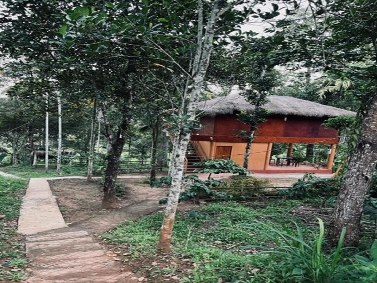 Villa Kuruva Shoreline Wayanad Chegat