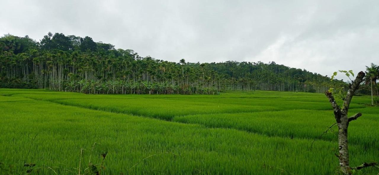 Kuruva Shoreline Wayanad * Chegat
