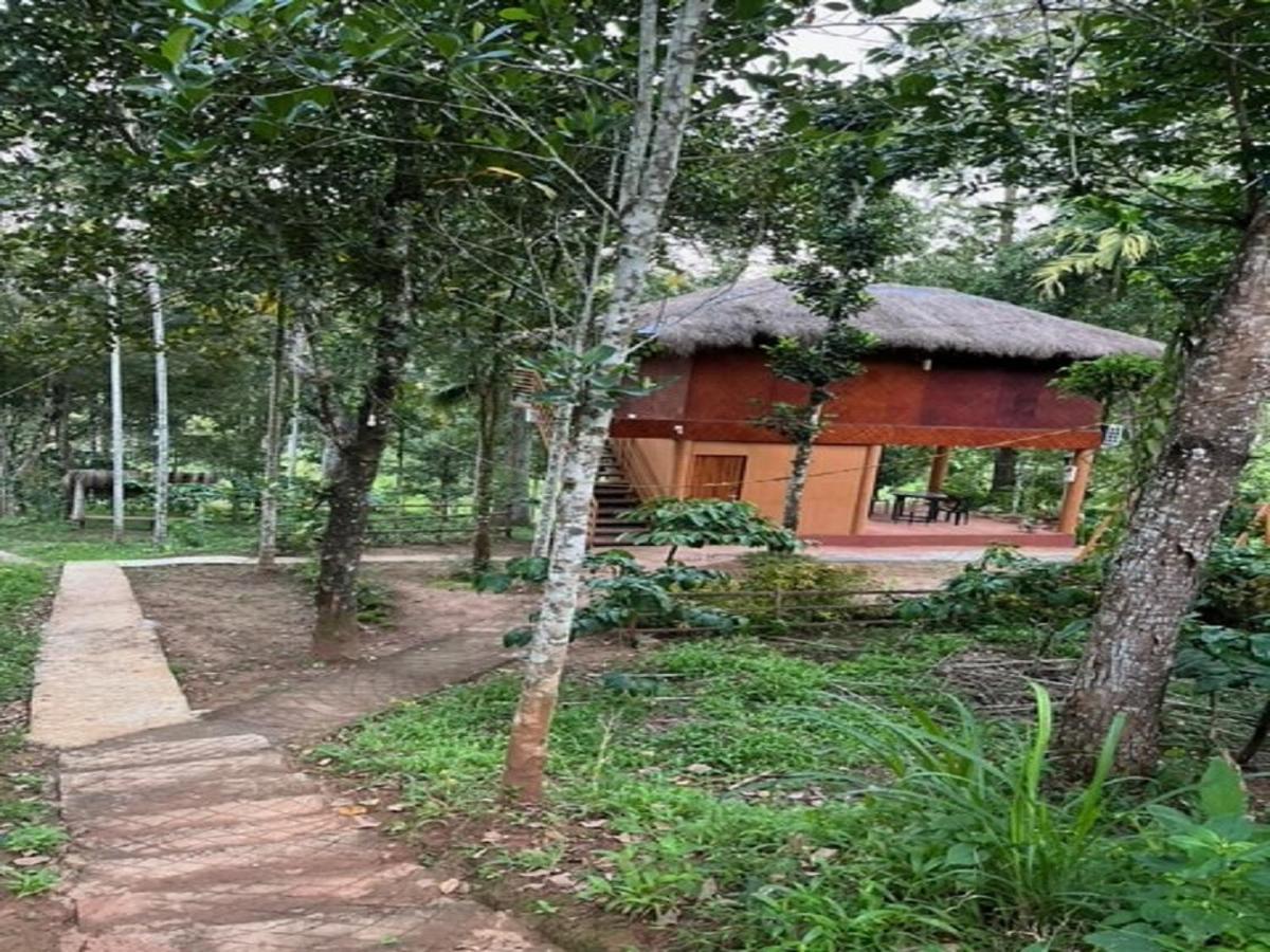 Kuruva Shoreline Wayanad Chegat