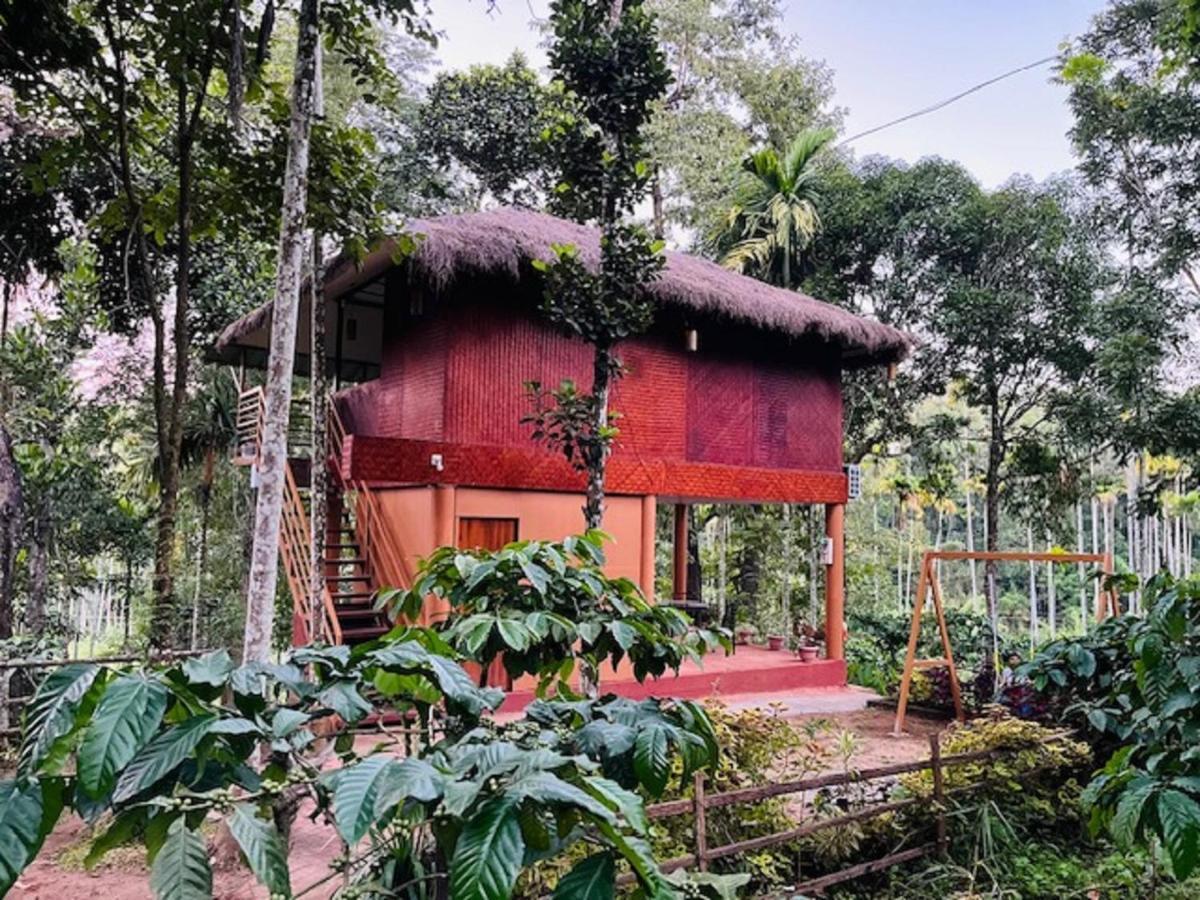 Villa Kuruva Shoreline Wayanad Chegat