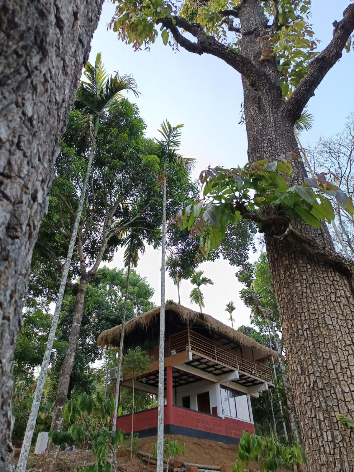 Villa Kuruva Shoreline Wayanad *
