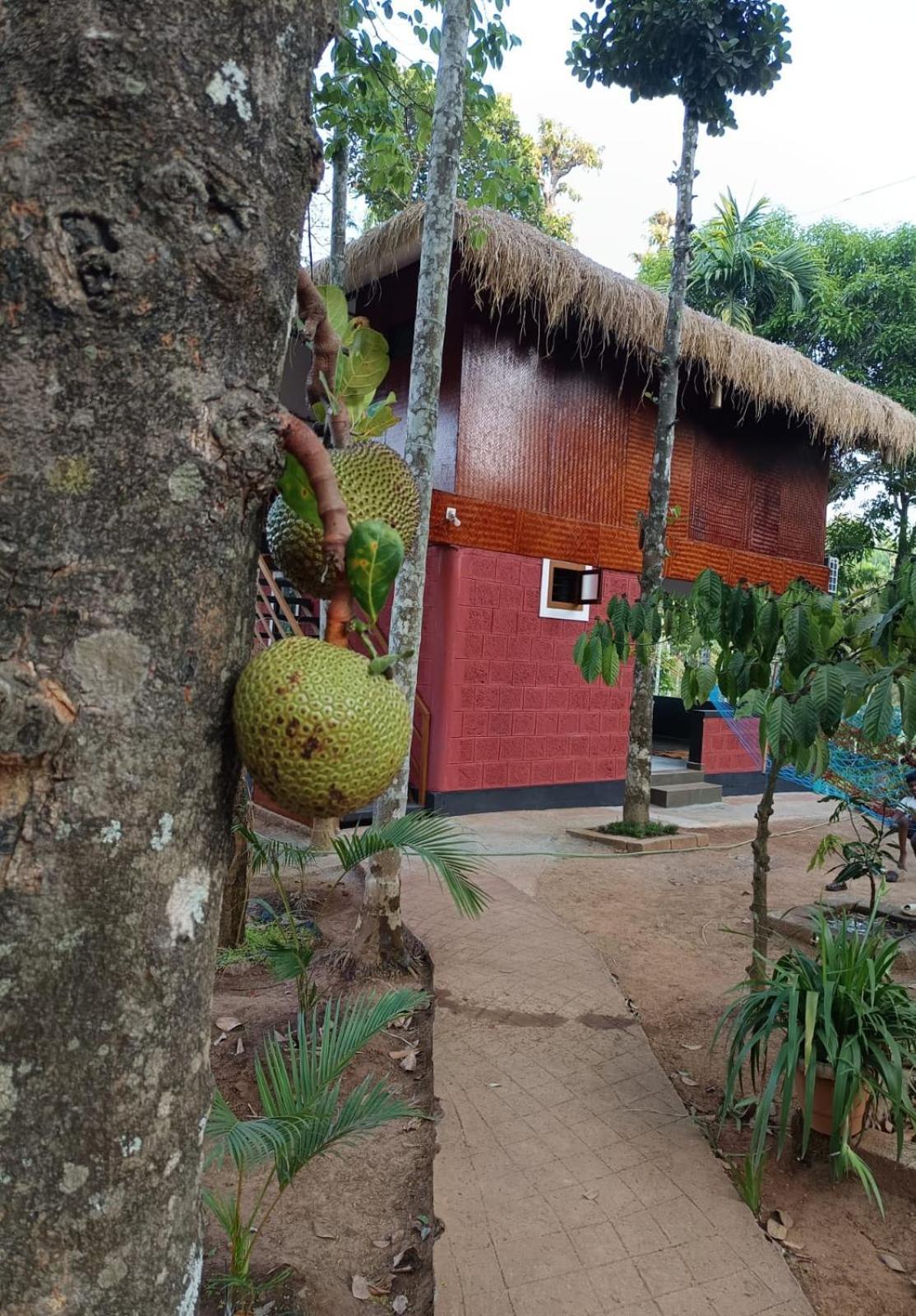 Villa Kuruva Shoreline Wayanad