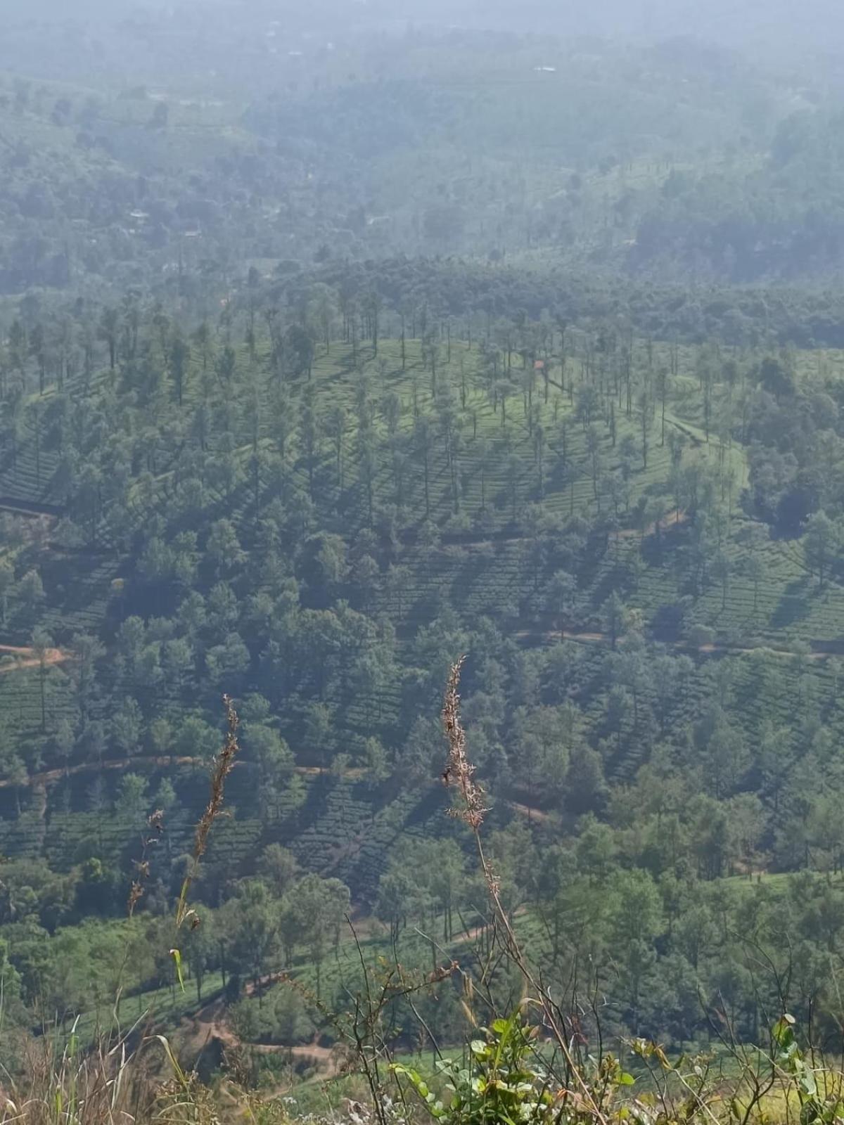 Kuruva Shoreline Wayanad *